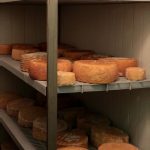 cheese aging on a shelf